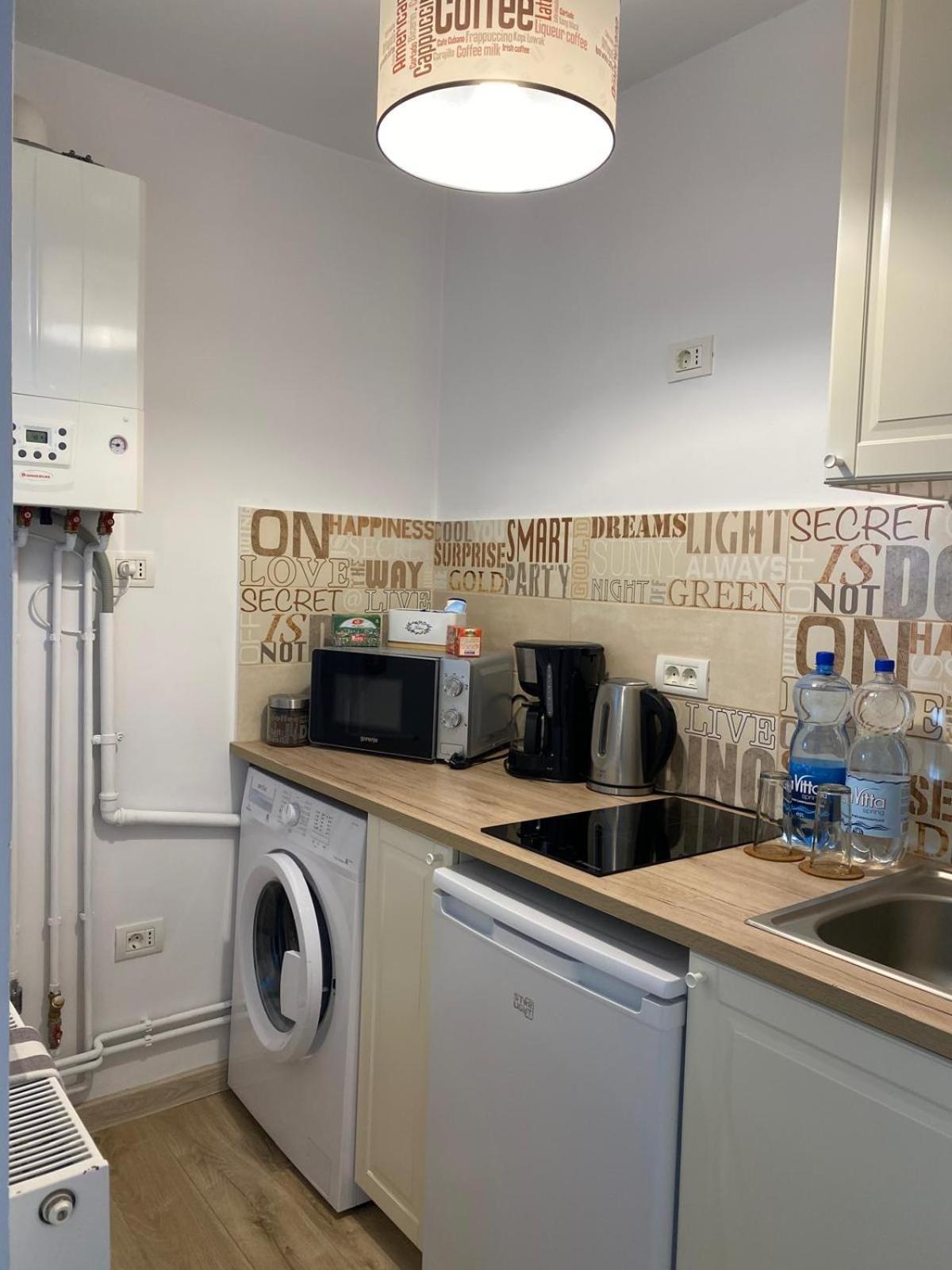 Take Pro Timisoara Apartment 外观 照片